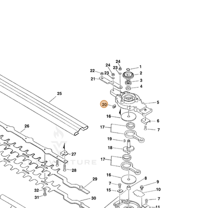 ECHO part 61042654030 — IPL diagram snippet (6x zoom, amber highlight)