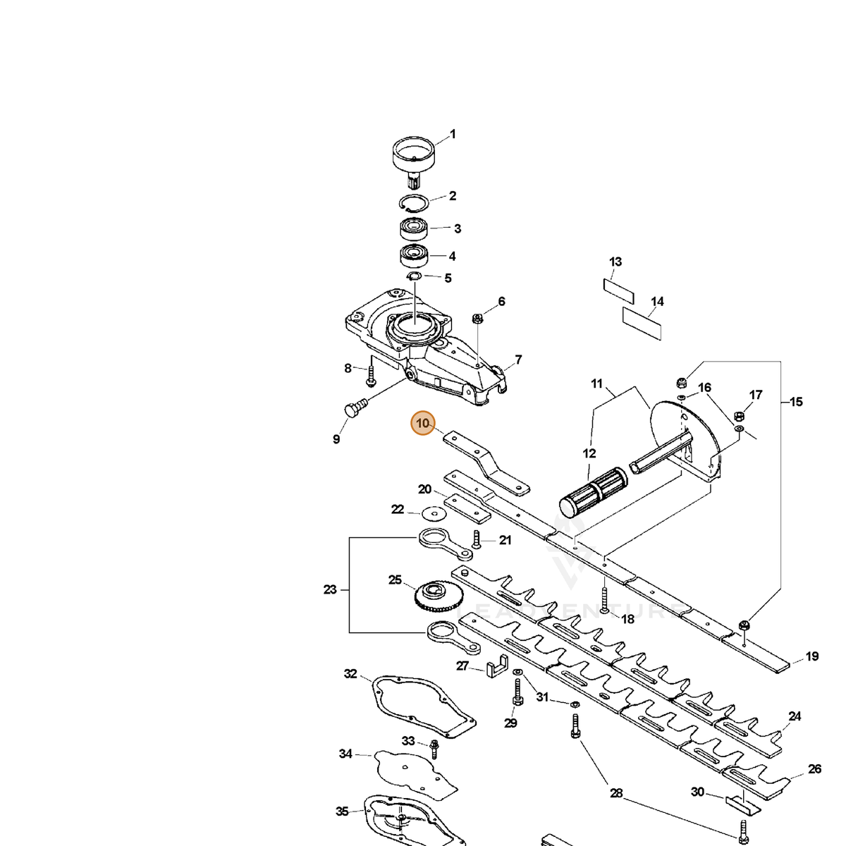 ECHO part 69912006560 — IPL diagram snippet (6x zoom, amber highlight)