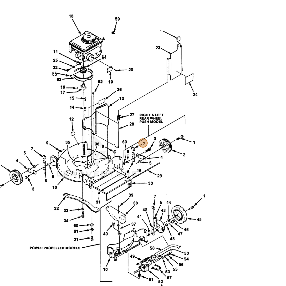 ECHO part 700336623 — IPL diagram snippet (6x zoom, amber highlight)