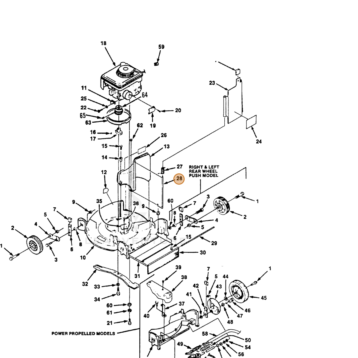 ECHO part 700359167 — IPL diagram snippet (6x zoom, amber highlight)