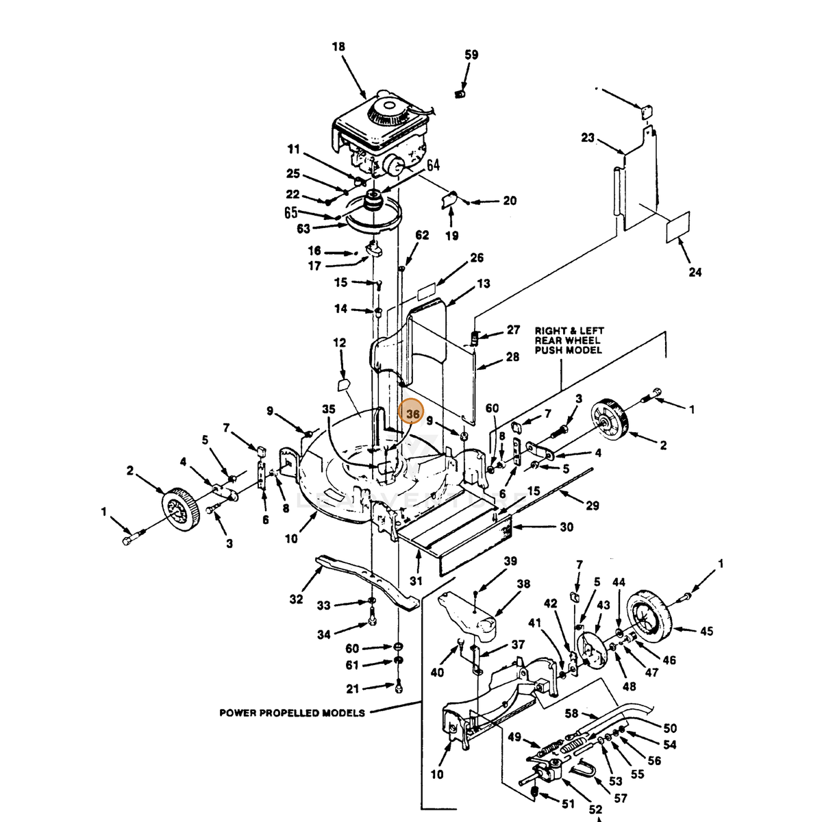 ECHO part 700409907 — IPL diagram snippet (6x zoom, amber highlight)