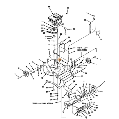 ECHO part 700409907 — IPL diagram snippet (6x zoom, amber highlight)