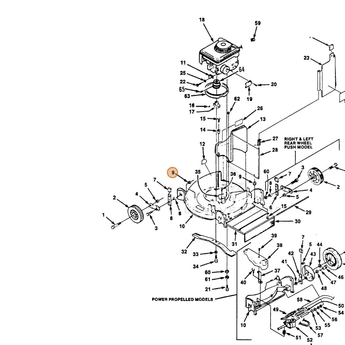 ECHO part 700445775 — IPL diagram snippet (6x zoom, amber highlight)