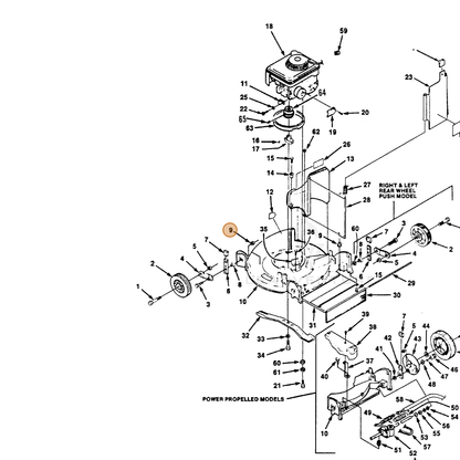 ECHO part 700445775 — IPL diagram snippet (6x zoom, amber highlight)