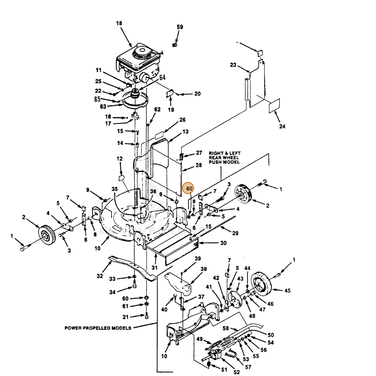 ECHO part 700453009 — IPL diagram snippet (6x zoom, amber highlight)