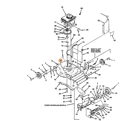 ECHO part 700991286 — IPL diagram snippet (6x zoom, amber highlight)