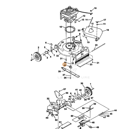 ECHO part 700991821 — IPL diagram snippet (6x zoom, amber highlight)
