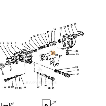 ECHO part 7336257851 — IPL diagram snippet (6x zoom, amber highlight)