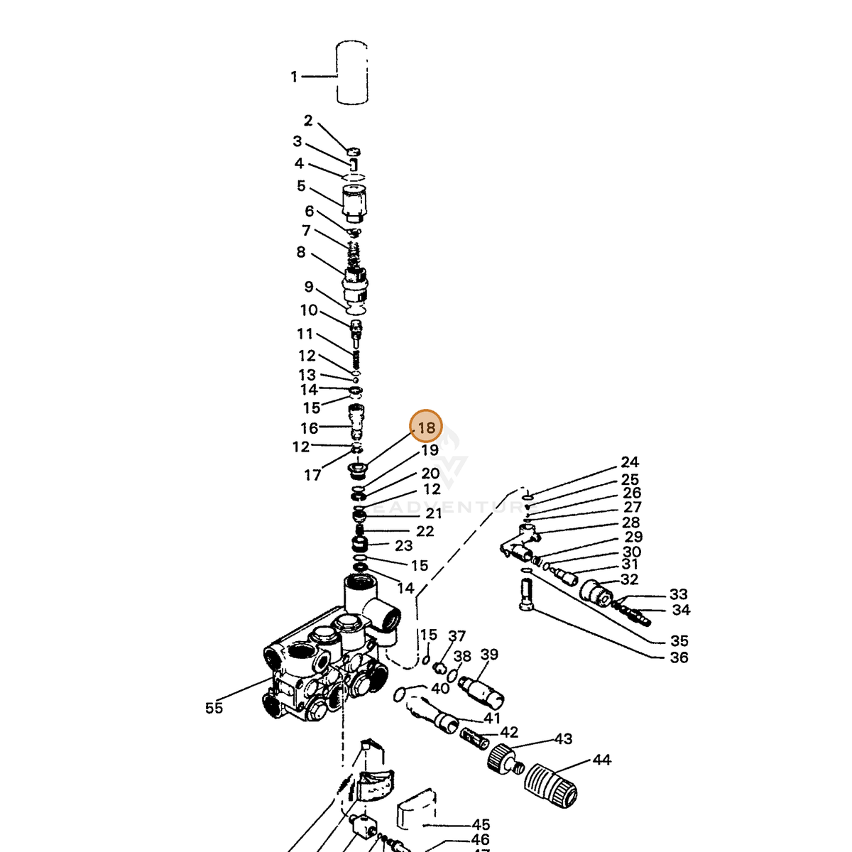 ECHO part 7336316570 — IPL diagram snippet (6x zoom, amber highlight)