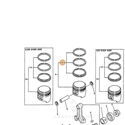 Echo part 76066422501 — IPL diagram snippet (6x zoom, amber highlight)