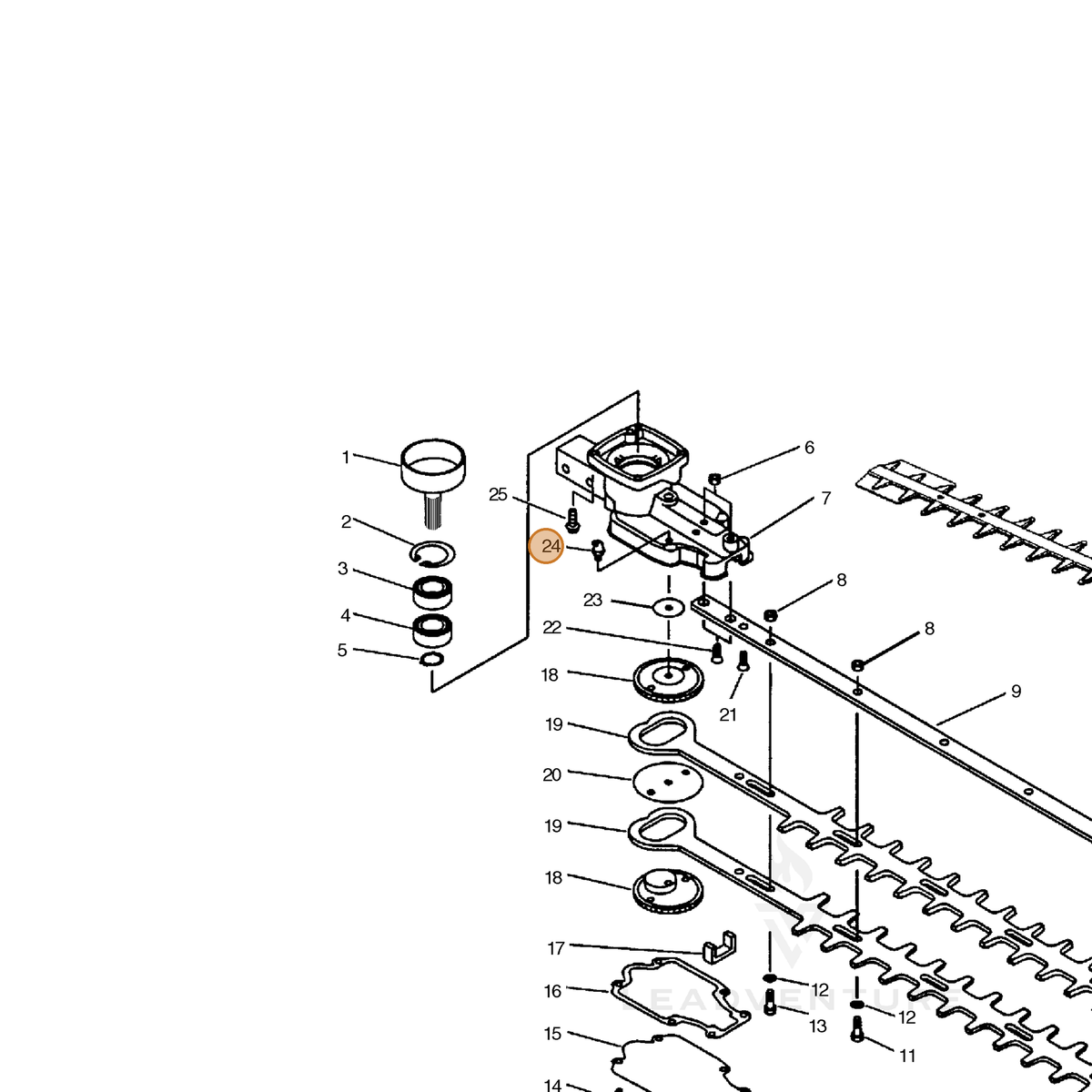 ECHO part 88011006560 — IPL diagram snippet (6x zoom, amber highlight)