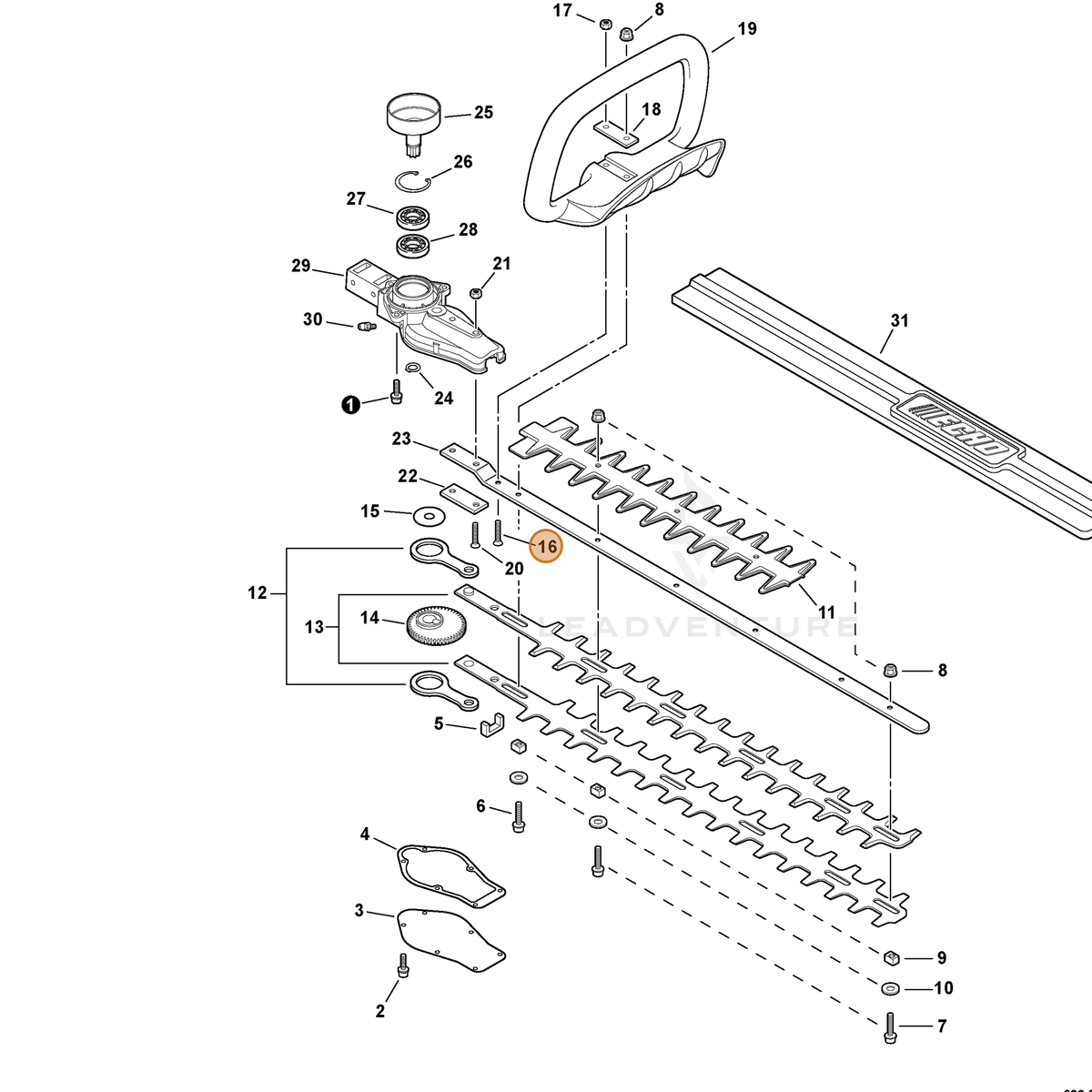 ECHO part 90021205030 — IPL diagram snippet (6x zoom, amber highlight)