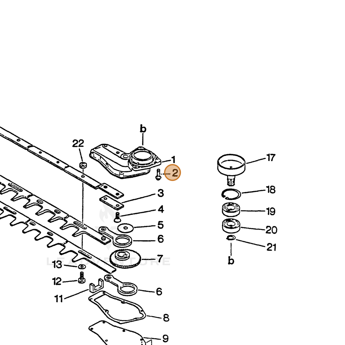 ECHO part 90024205022 — IPL diagram snippet (6x zoom, amber highlight)