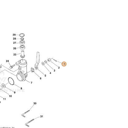 ECHO part 90030016016 — IPL diagram snippet (6x zoom, amber highlight)