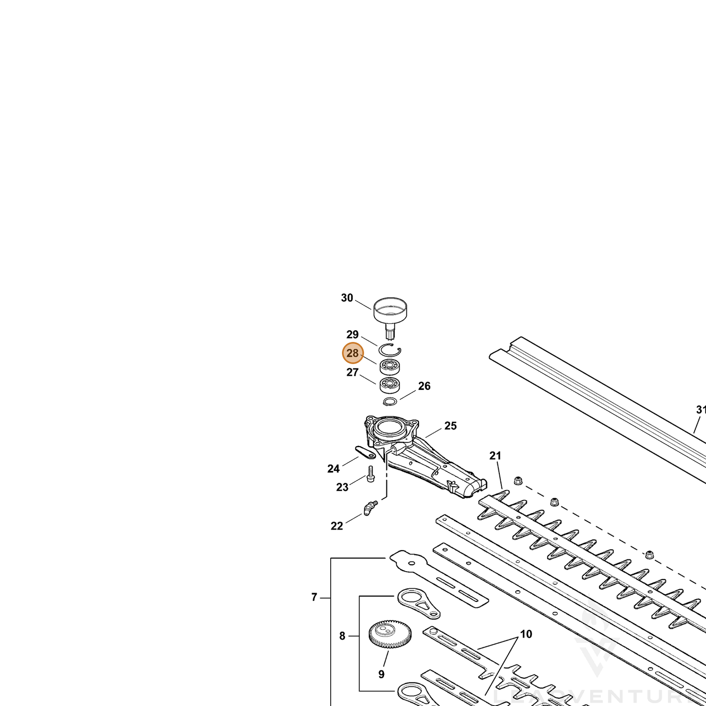 ECHO part 90081206202 — IPL diagram snippet (6x zoom, amber highlight)