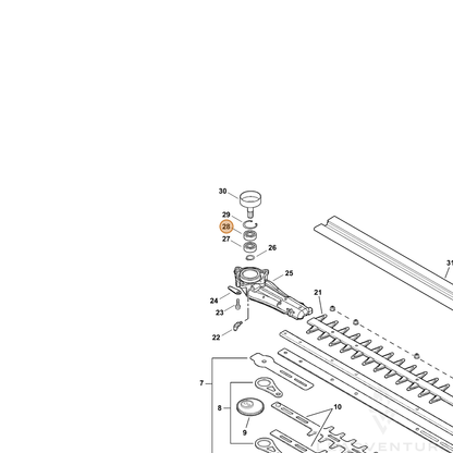 ECHO part 90081206202 — IPL diagram snippet (6x zoom, amber highlight)