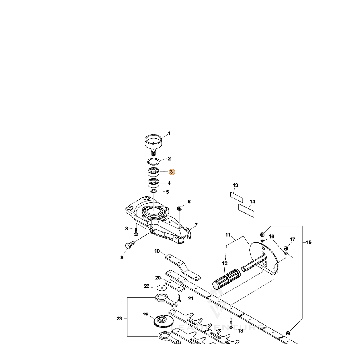 ECHO part 90081336202 — IPL diagram snippet (6x zoom, amber highlight)