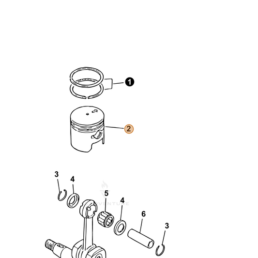 Echo part A100001040 — IPL diagram snippet (6x zoom, amber highlight)