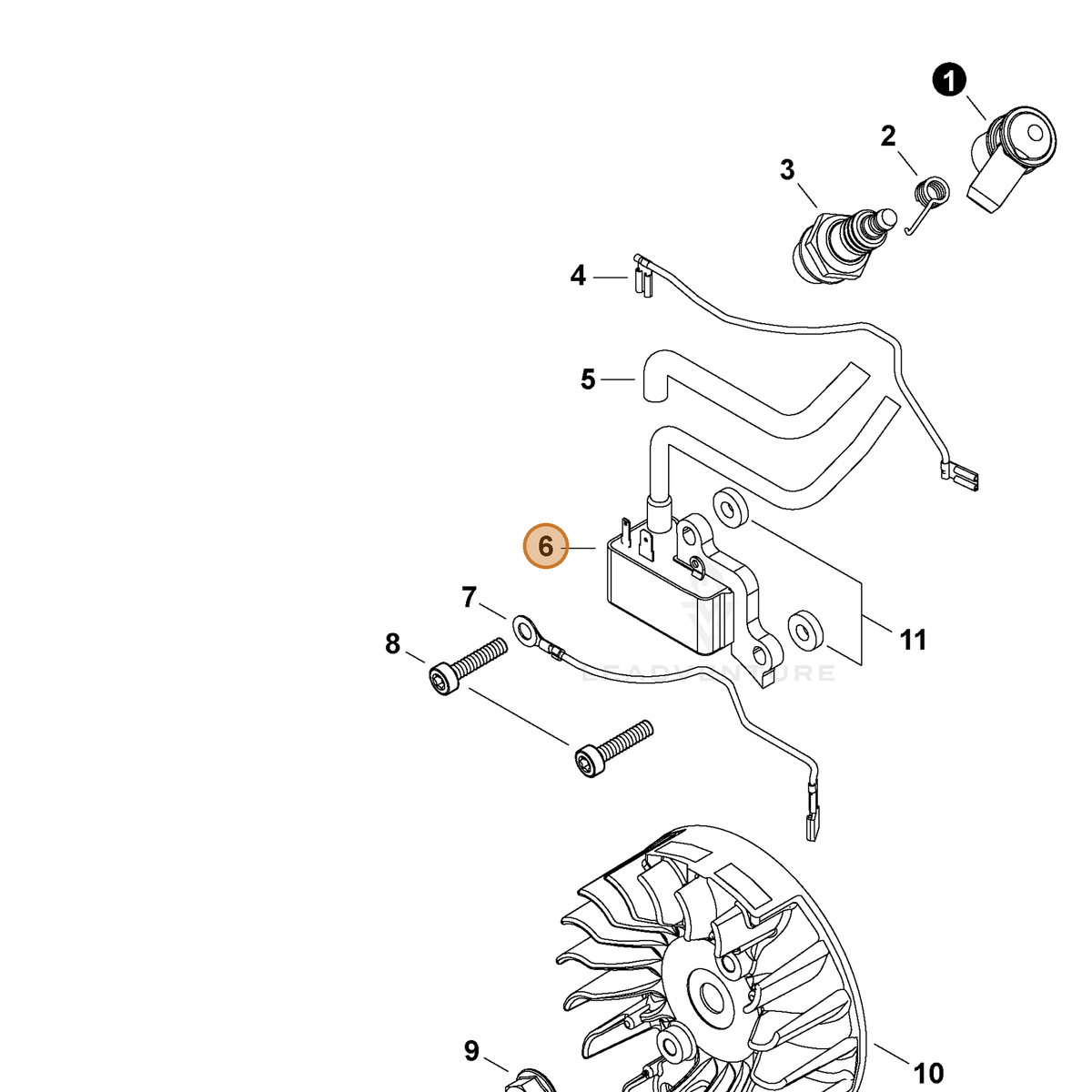 ECHO part A411002081 — IPL diagram snippet (6x zoom, amber highlight)