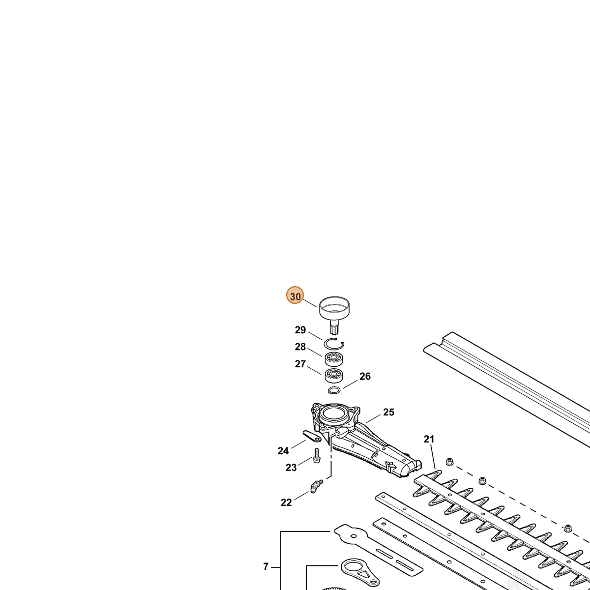 ECHO part A556000470 — IPL diagram snippet (6x zoom, amber highlight)