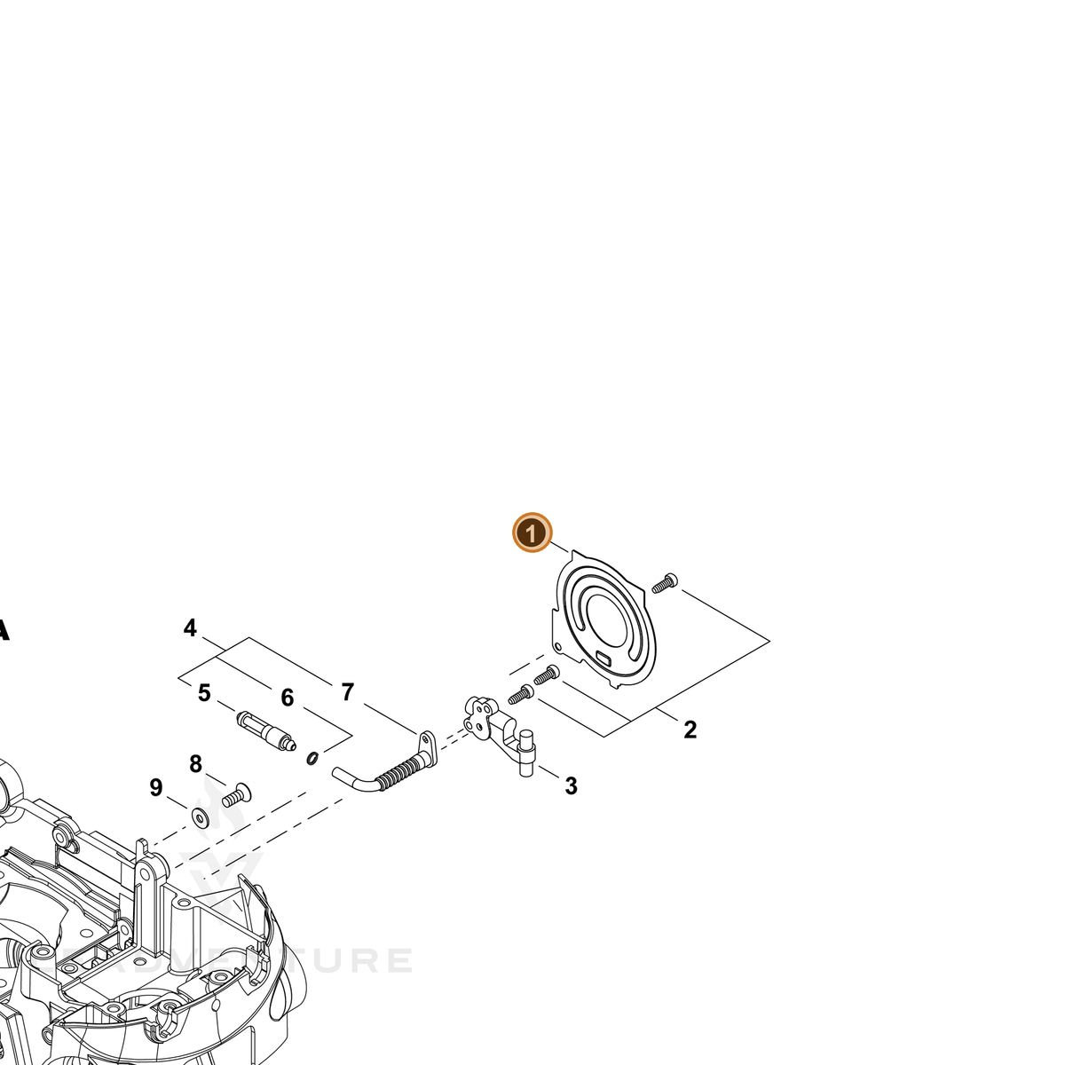 ECHO part C236000060 — IPL diagram snippet (6x zoom, amber highlight)