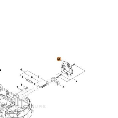 ECHO part C236000060 — IPL diagram snippet (6x zoom, amber highlight)