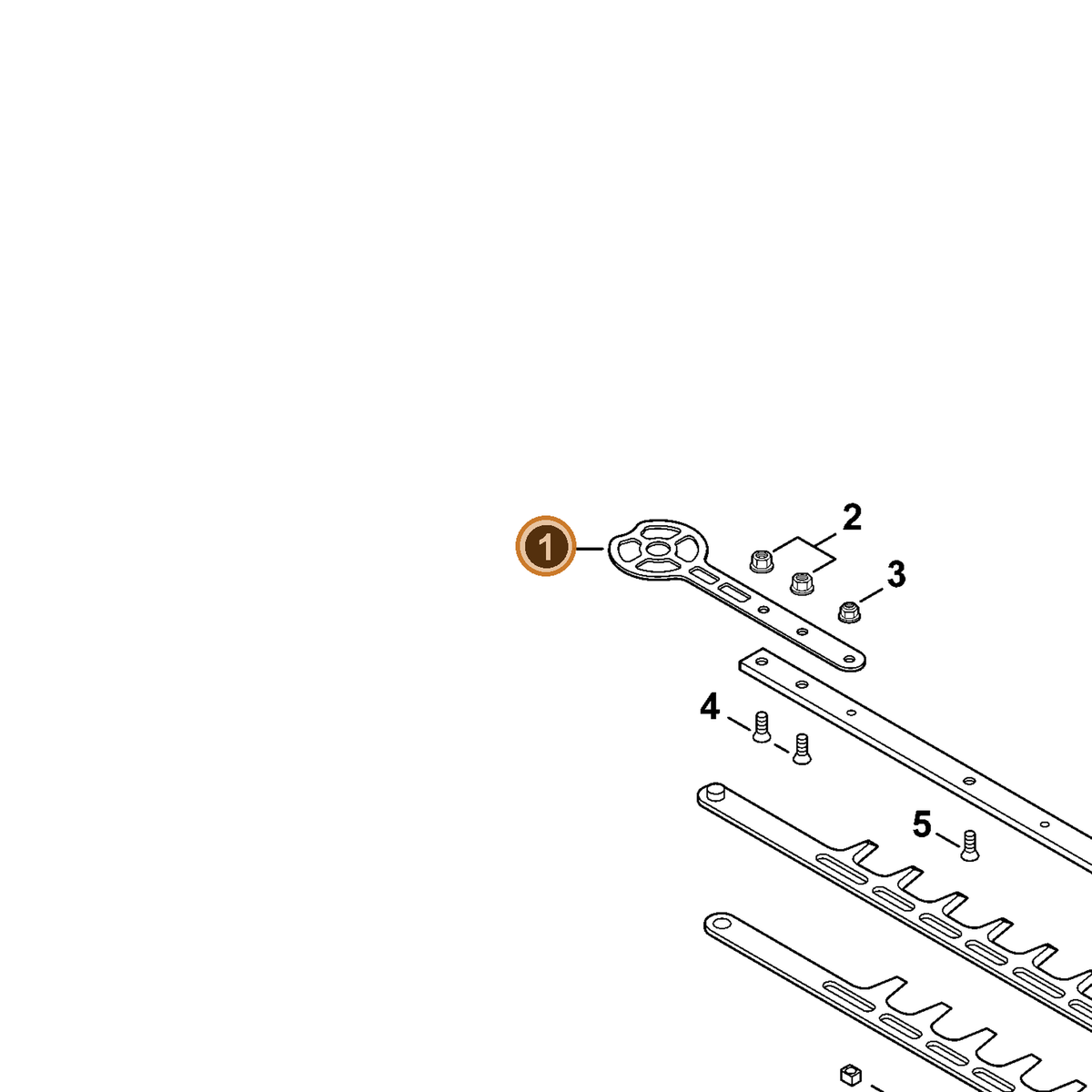 ECHO part C603000950 — IPL diagram snippet (6x zoom, amber highlight)