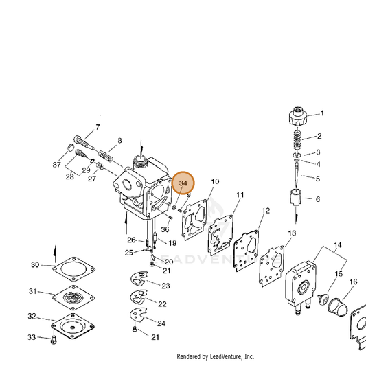 Echo part P004000010 — IPL diagram snippet (6x zoom, amber highlight)