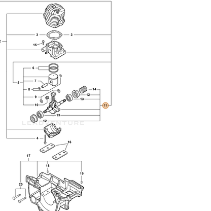 ECHO part P021006541 — IPL diagram snippet (6x zoom, amber highlight)