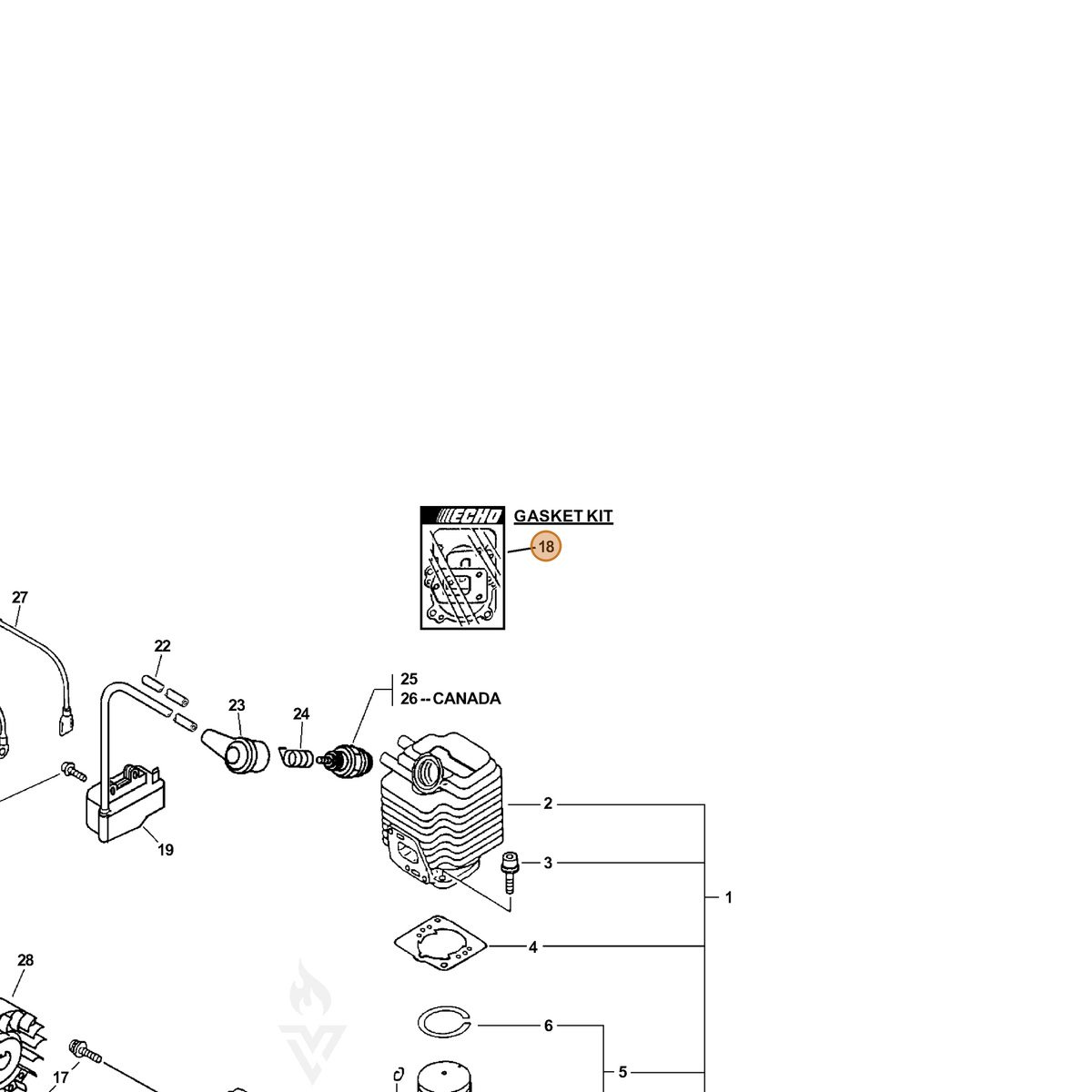 ECHO part P021008590 — IPL diagram snippet (6x zoom, amber highlight)