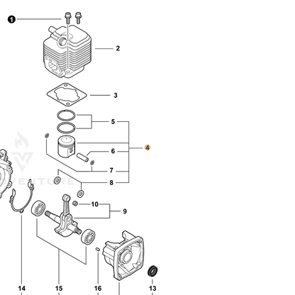 ECHO part P021009950 — IPL diagram snippet (6x zoom, amber highlight)
