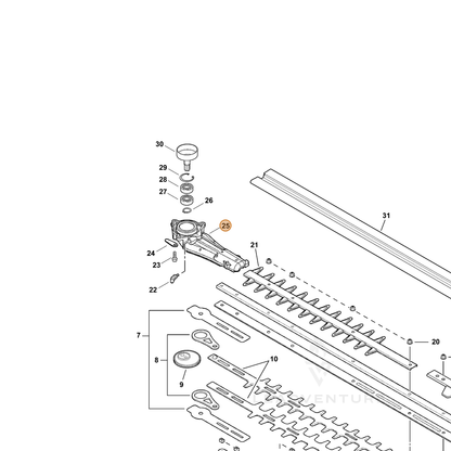 ECHO part P021015600 — IPL diagram snippet (6x zoom, amber highlight)
