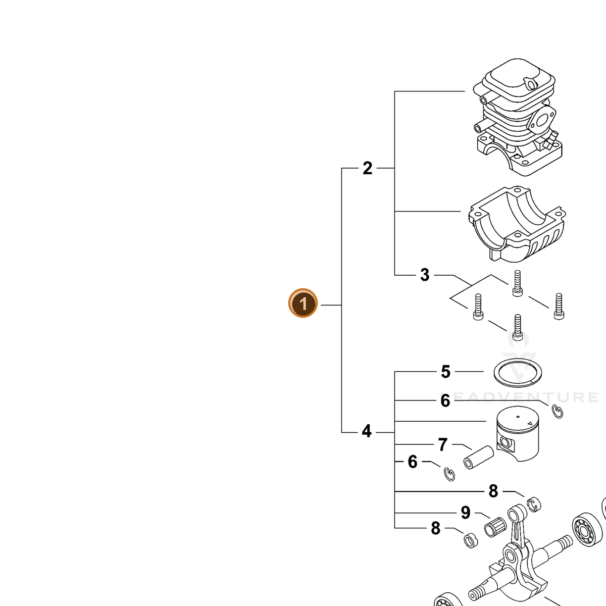 ECHO part P021038981 — IPL diagram snippet (6x zoom, amber highlight)