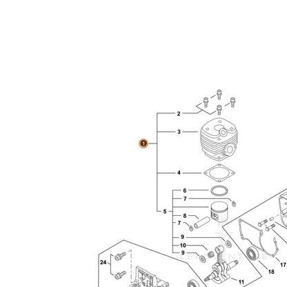 ECHO part P021039000 — IPL diagram snippet (6x zoom, amber highlight)