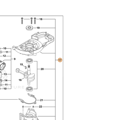 ECHO part P100006080 — IPL diagram snippet (6x zoom, amber highlight)