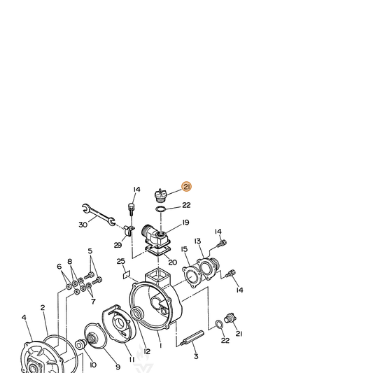 ECHO part V162000260 — IPL diagram snippet (6x zoom, amber highlight)