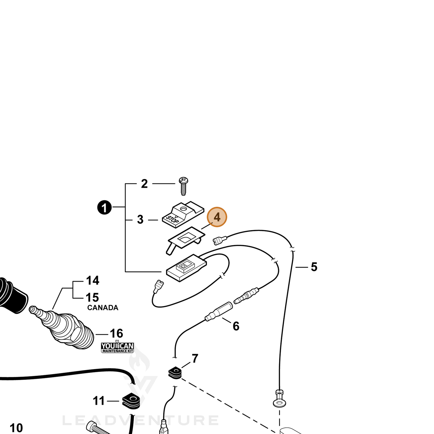 ECHO part V486000150 — IPL diagram snippet (6x zoom, amber highlight)