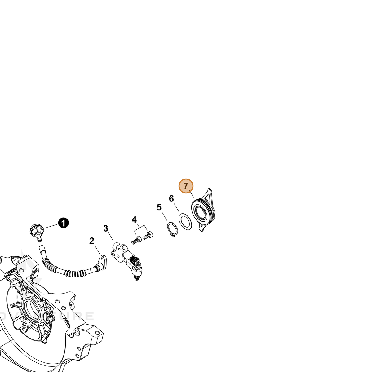 Echo part V652000302 — IPL diagram snippet (6x zoom, amber highlight)