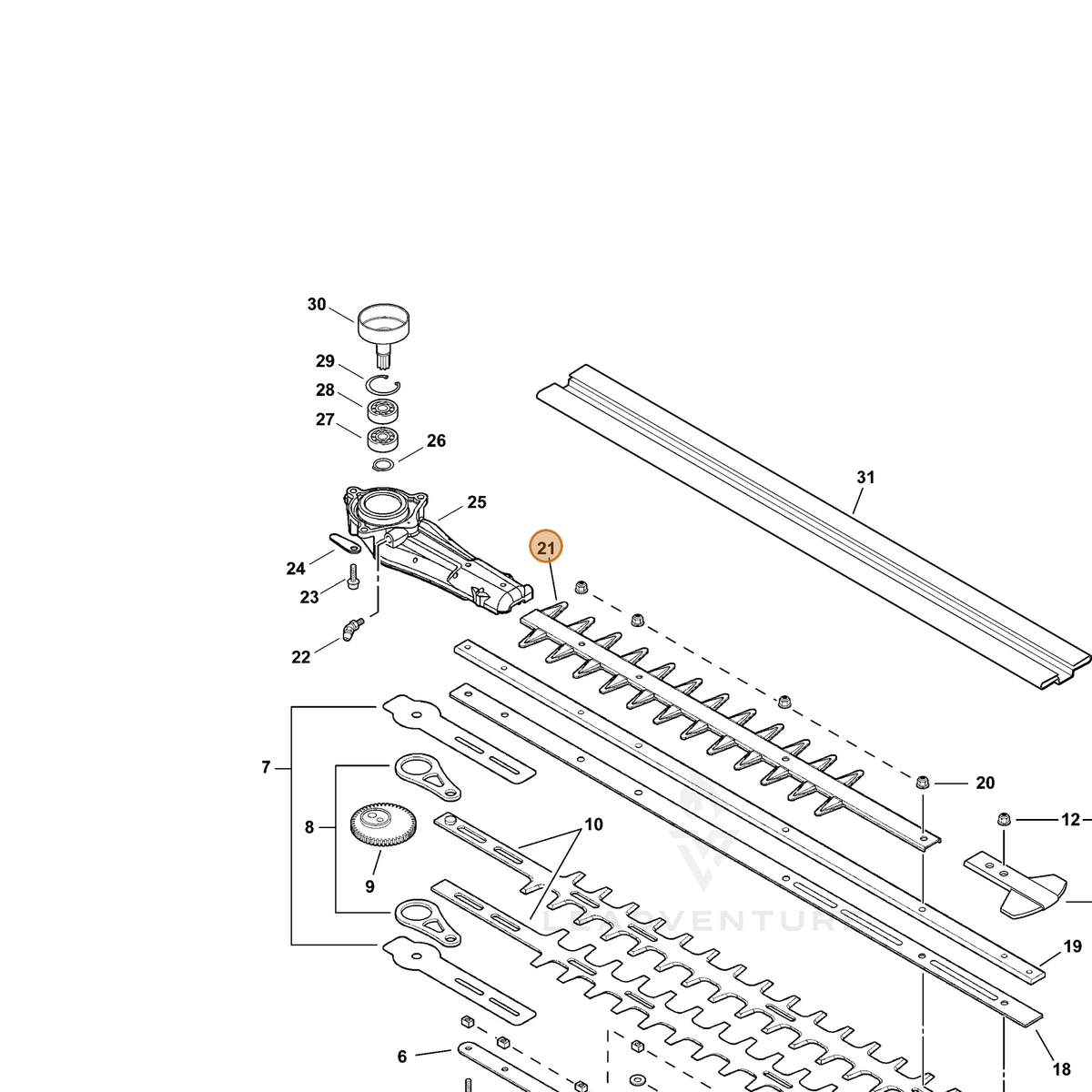 ECHO part X431000020 — IPL diagram snippet (6x zoom, amber highlight)