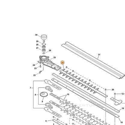 ECHO part X431000020 — IPL diagram snippet (6x zoom, amber highlight)