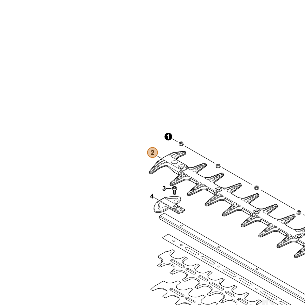 ECHO part X431000250 — IPL diagram snippet (6x zoom, amber highlight)