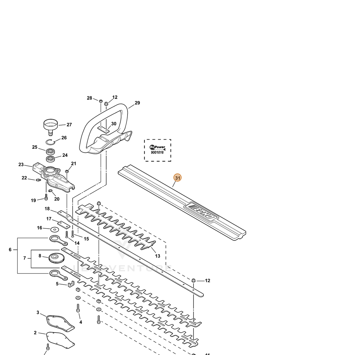ECHO part X495000181 — IPL diagram snippet (6x zoom, amber highlight)