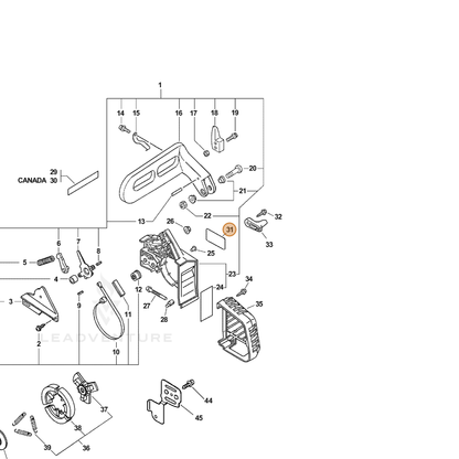 ECHO part X503005250 — IPL diagram snippet (6x zoom, amber highlight)