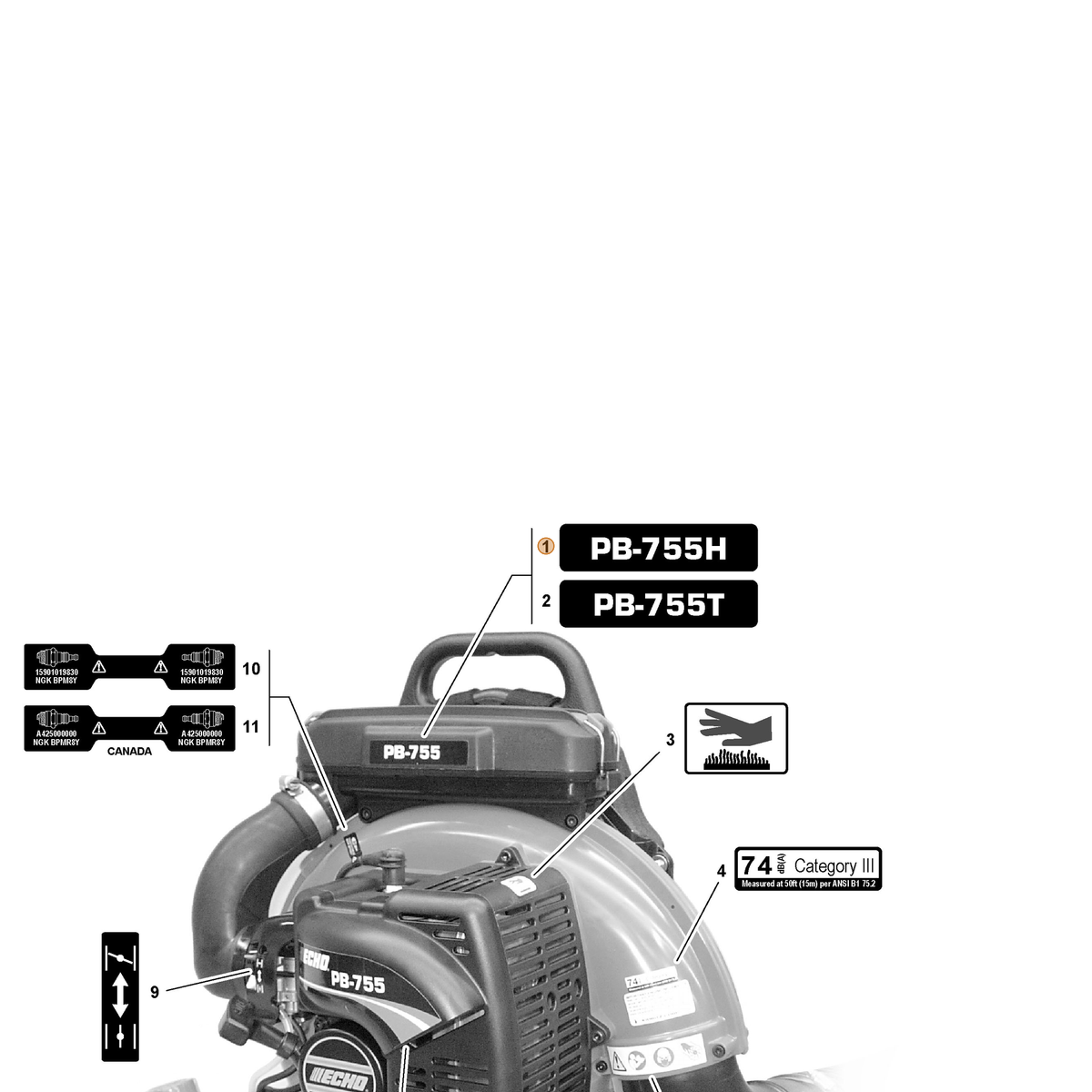 ECHO part X503007310 — IPL diagram snippet (6x zoom, amber highlight)