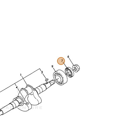 ECHO part Y16061002220 — IPL diagram snippet (6x zoom, amber highlight)