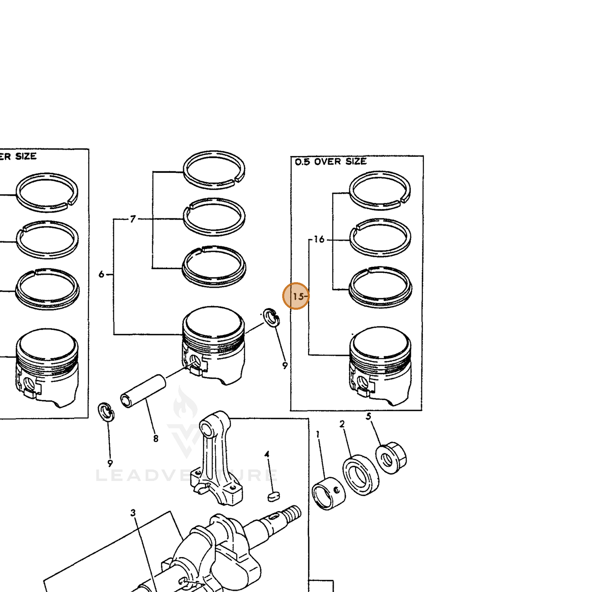 ECHO part Y16066422481 — IPL diagram snippet (6x zoom, amber highlight)