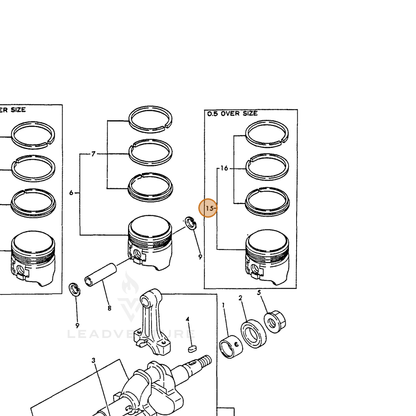 ECHO part Y16066422481 — IPL diagram snippet (6x zoom, amber highlight)