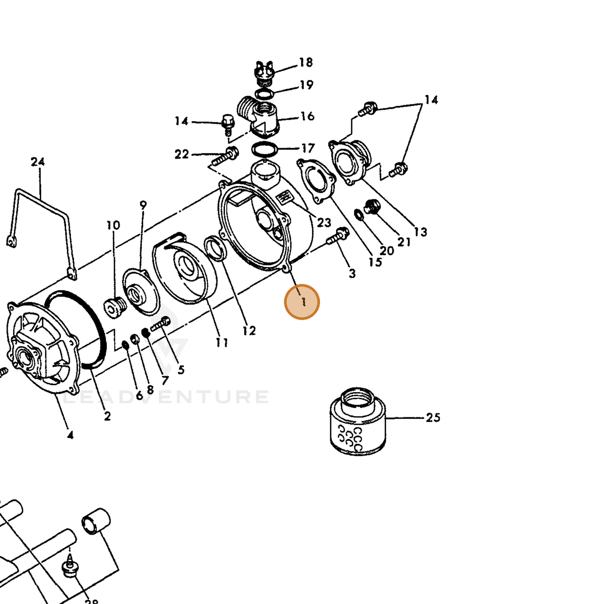 ECHO part Y16066495520 — IPL diagram snippet (6x zoom, amber highlight)