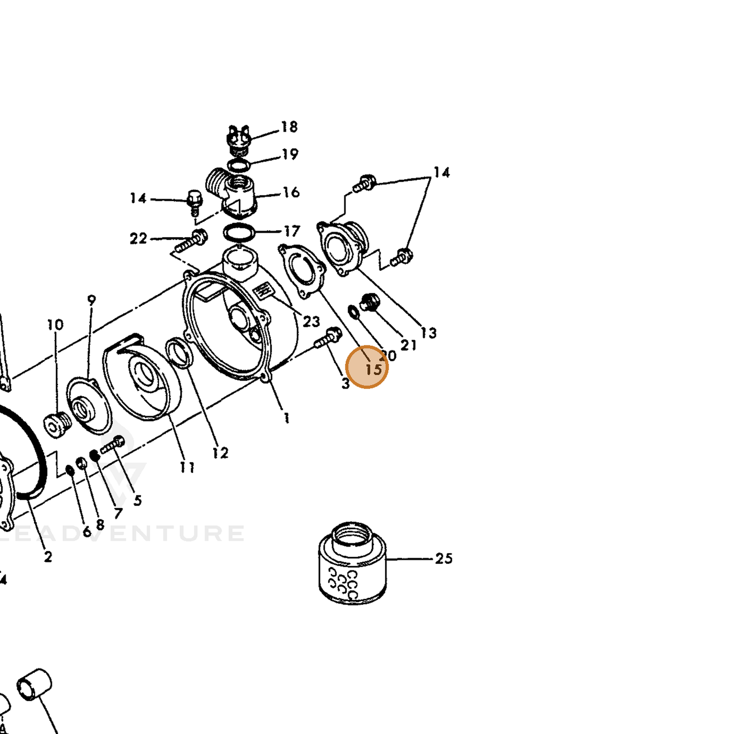 ECHO part Y16066495590 — IPL diagram snippet (6x zoom, amber highlight)