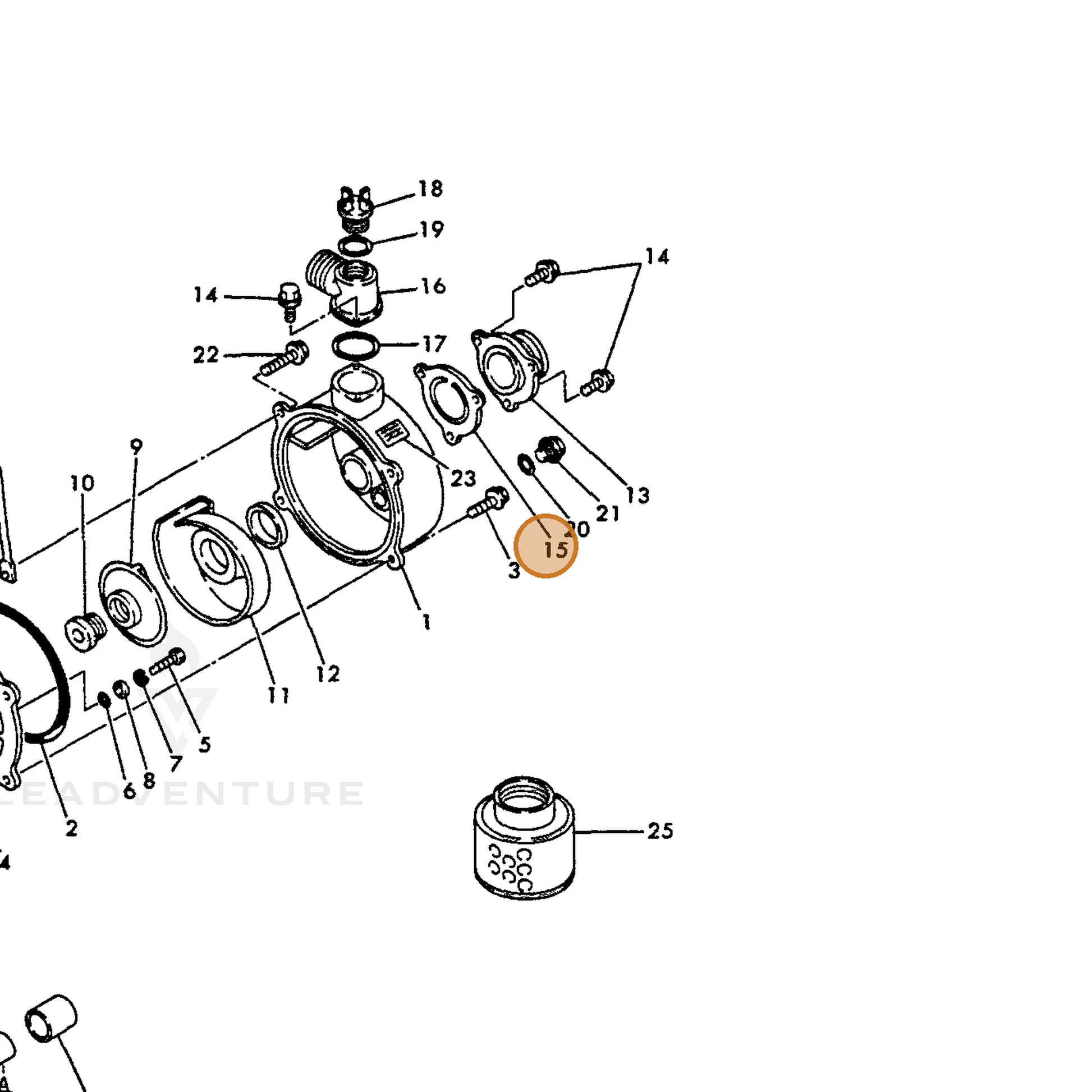 ECHO part Y16066495590 — IPL diagram snippet (6x zoom, amber highlight)